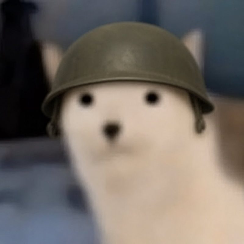 CET wearing a military helmet